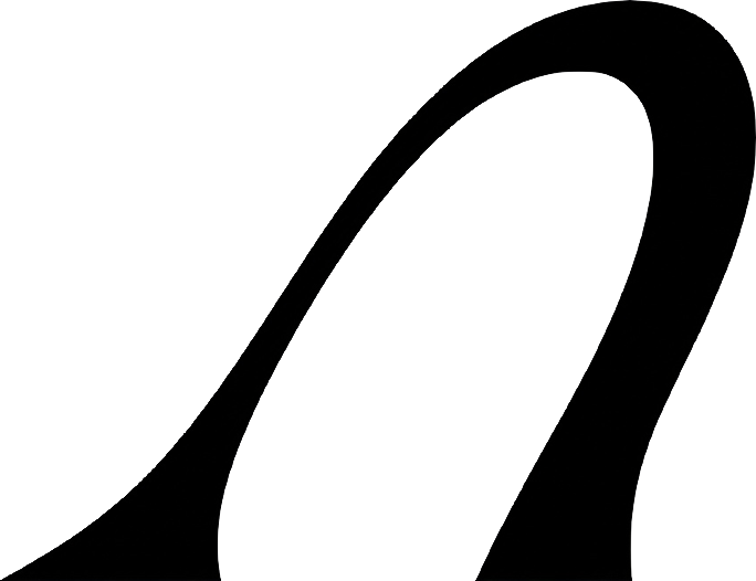 Noirpool Logo